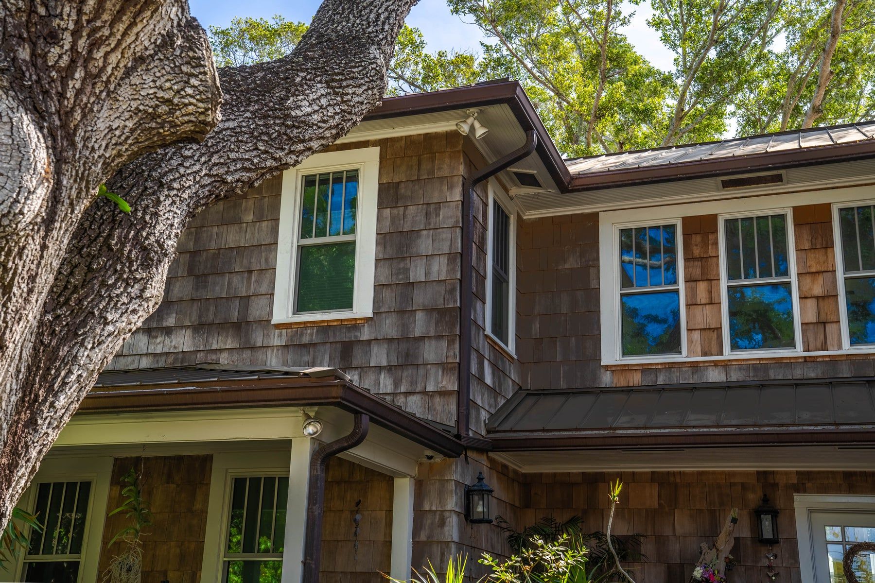 Copper gutters on a shingle sided home under an oak