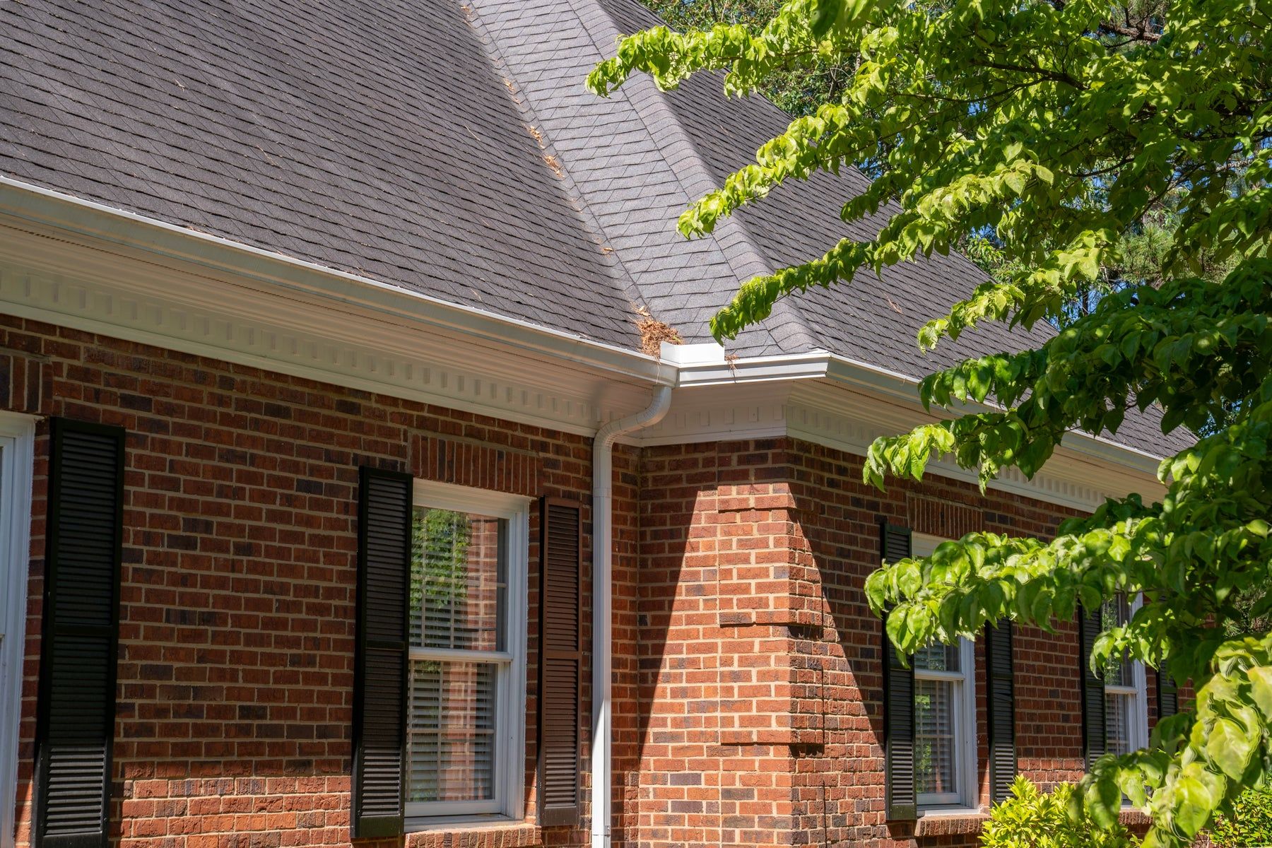 White gutters over a columned office entry